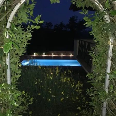 La Paloma Di Charme Bed and Breakfast Βιτέρμπο