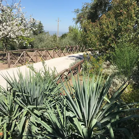 La Paloma Di Charme 3*