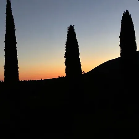Bed & Breakfast La Paloma Di Charme