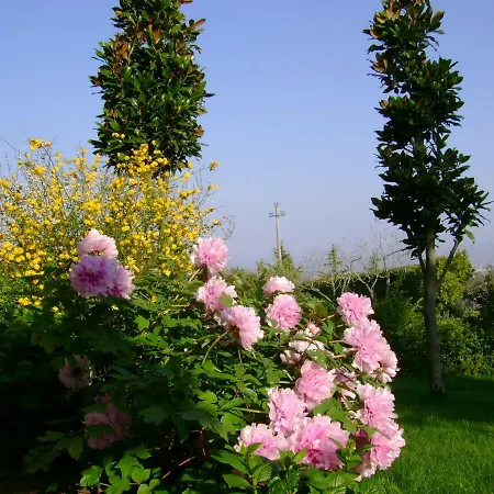 La Paloma Di Charme