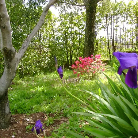 La Paloma Di Charme Bed and Breakfast Βιτέρμπο